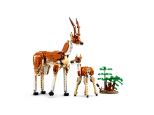 Load image into Gallery viewer, LEGO 31150: Creator 3-in-1: Wild Safari Animals