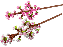 Load image into Gallery viewer, LEGO 40725: Botanicals: Cherry Blossoms