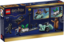 Load image into Gallery viewer, LEGO 76459: Harry Potter: Hagrid & Harry's Privet Drive Escape