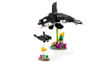 Load image into Gallery viewer, LEGO Creator 3-in-1 Panda Family boxed set showing orca whale and calf model by Brick Shack