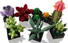 Load image into Gallery viewer, LEGO 10309: Botanical: Succulents
