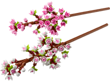Load image into Gallery viewer, LEGO 40725: Botanicals: Cherry Blossoms
