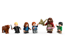 Load image into Gallery viewer, LEGO 76428: Harry Potter: Hagrid's Hut: An Unexpected Visit
