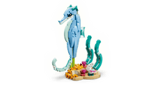 Load image into Gallery viewer, LEGO 31385: Creator 3-in-1: Beautiful Dolphins
