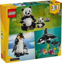 Load image into Gallery viewer, LEGO Creator 3-in-1 Panda Family boxed set by Brick Shack featuring panda, penguin, and orca builds
