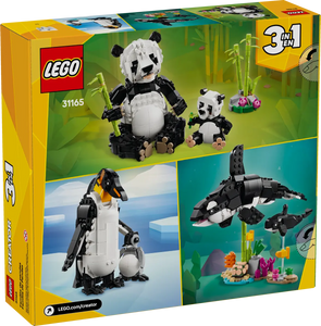 LEGO Creator 3-in-1 Panda Family boxed set by Brick Shack featuring panda, penguin, and orca builds