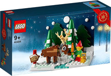 Load image into Gallery viewer, LEGO 40484: Seasonal: Santa&#39;s Front Yard
