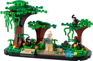 LEGO 40530: Jane Goodall Tribute