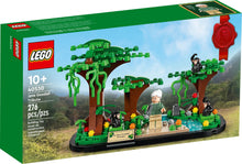 Load image into Gallery viewer, LEGO 40530: Jane Goodall Tribute
