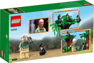 LEGO 40530: Jane Goodall Tribute